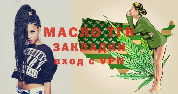 твердый Инсар